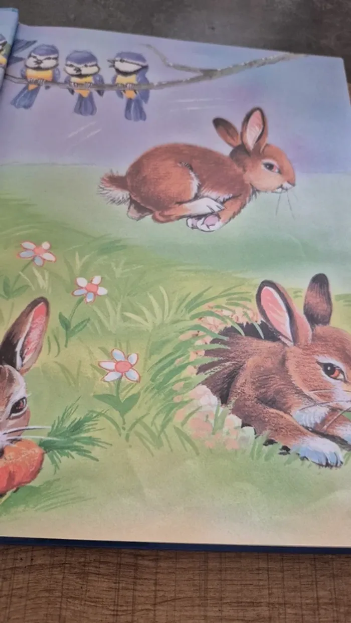 Livre "Les plus belles histoires d'animaux" - photo numéro 4