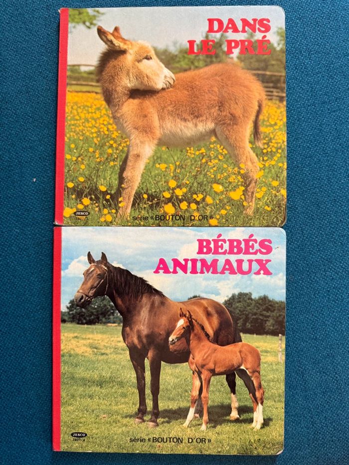 Lot de 2 livres anciens carton cartonnés Dans le pré + Bébés animaux campagne bouton d’or