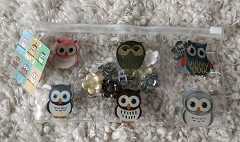 10 petites barettes fleurs et 1trousse oiseau