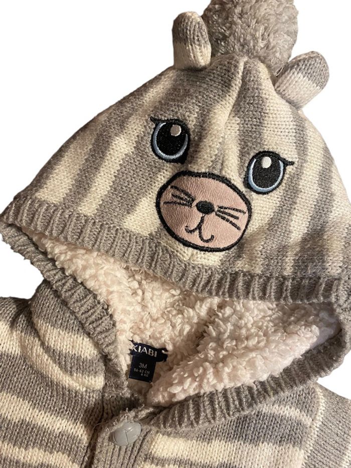 Gilet zébré - photo numéro 2