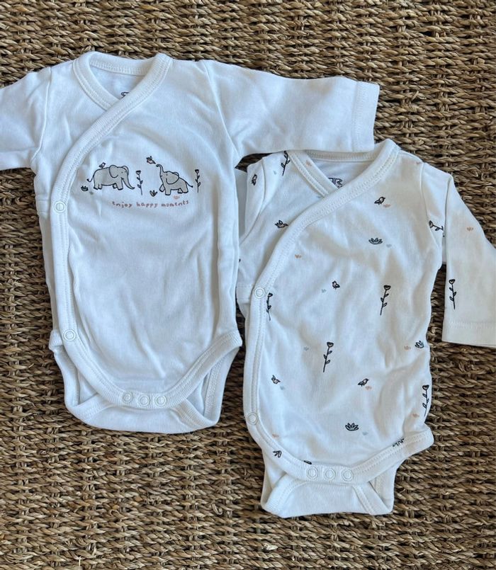 2 bodies préma éléphants twins