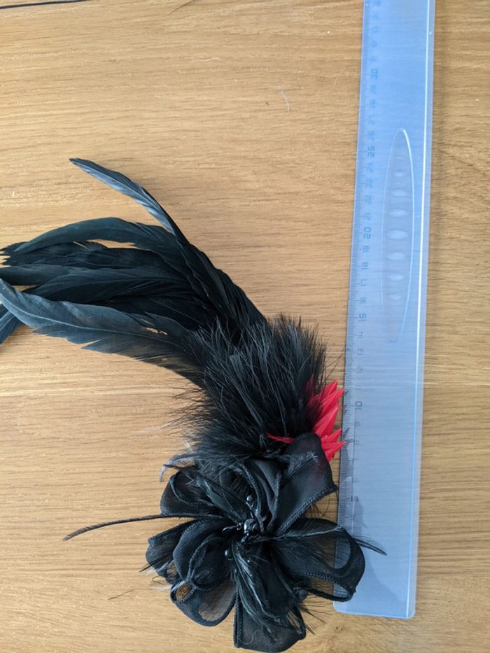 Pince plumes noires et rouges - photo numéro 6