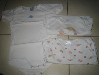 lot de bodies 18 mois mixte manches courtes