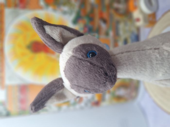 Peluche Jellycat chat siamois Iris neuf et authentique plus commercialisée retired - photo numéro 6