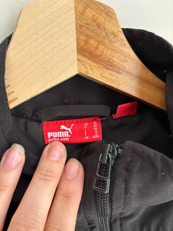 Veste puma - photo numéro 2