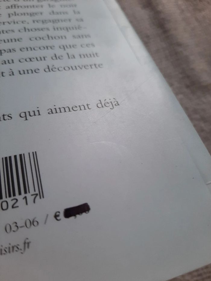 Le cochon en panne - photo numéro 11