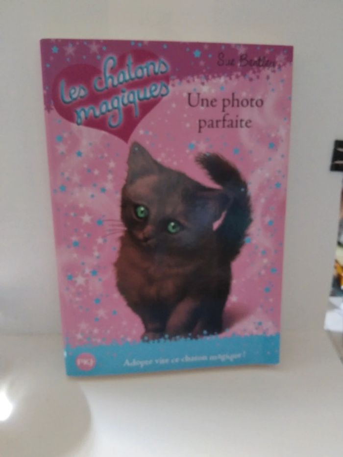 Lot de deux petits livres les chatons magiques