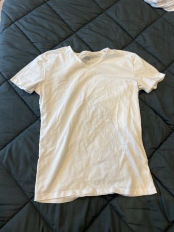 Tee-shirts manches courtes