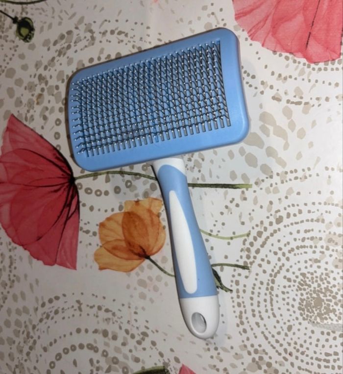 Brosse chien