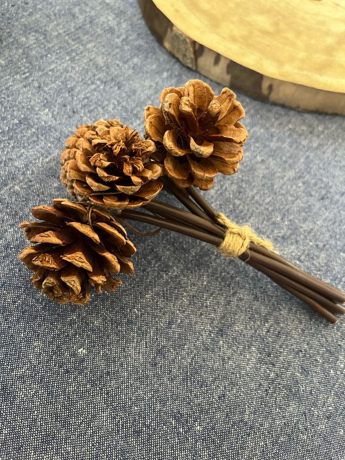 Lot de deco automne hiver bois centre de table - photo numéro 3