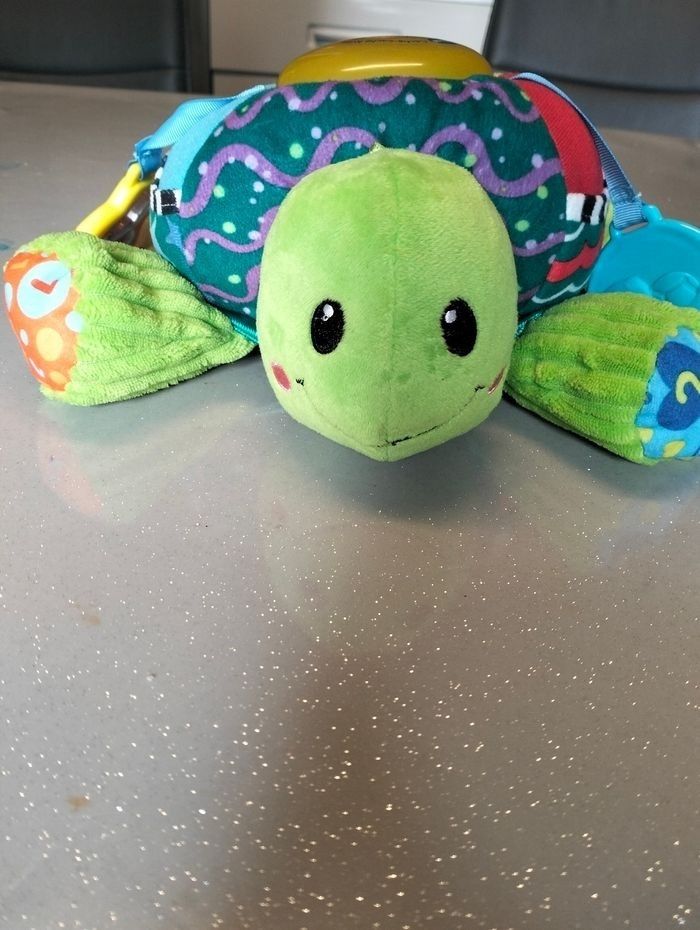 Cache cache tortue Vtech