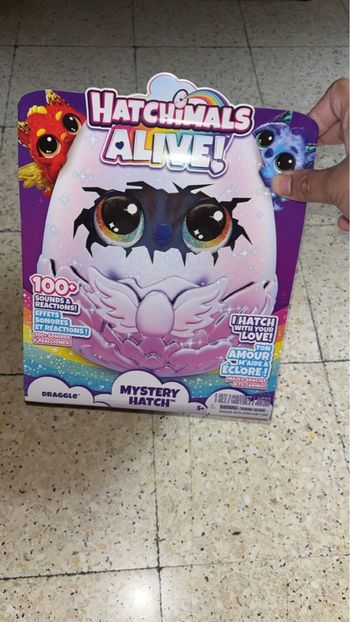 Hatchimals alive Mystery hatch draggle