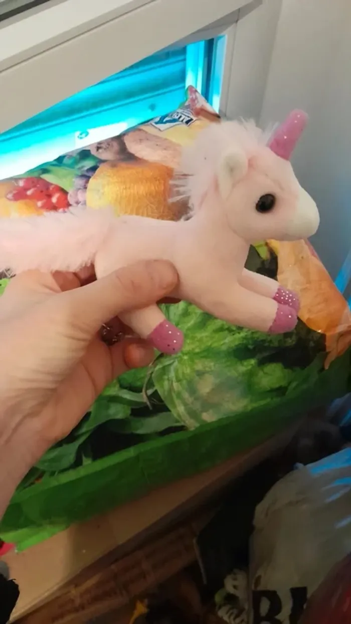 Licorne