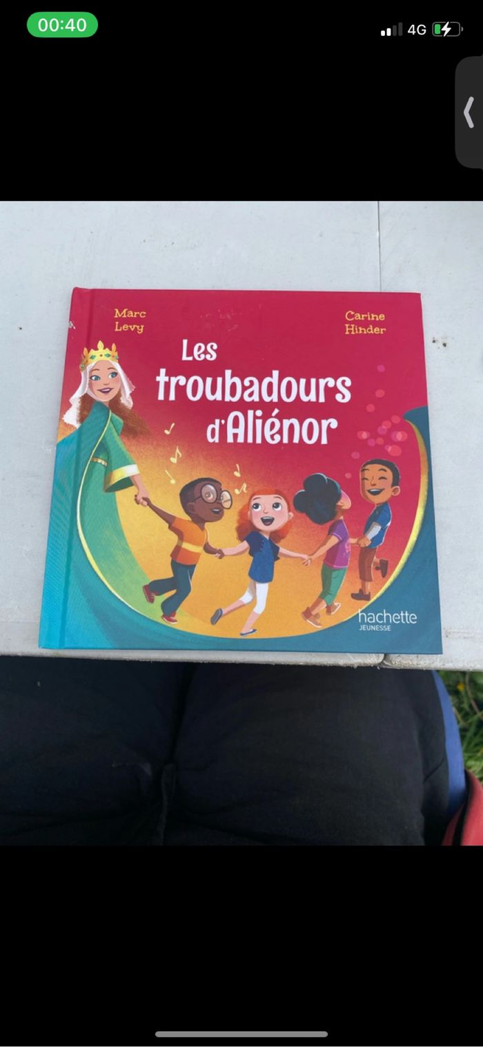 Livre les troubadours d’aliénor