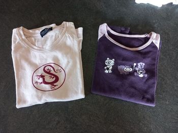 Lot de 2 tee shirt