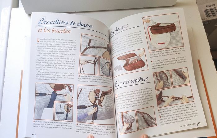 Livre d'équitation Harnachement et  protections - photo numéro 2