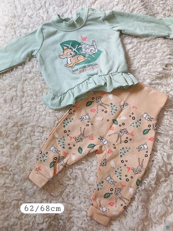 Ensemble Bambi