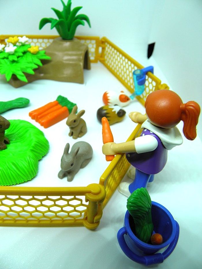 Playmobil 70137 Enfants avec petits animaux Complet + Boîte - photo numéro 7