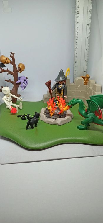 Scène de sorcière avec dragon et squelette playmobil