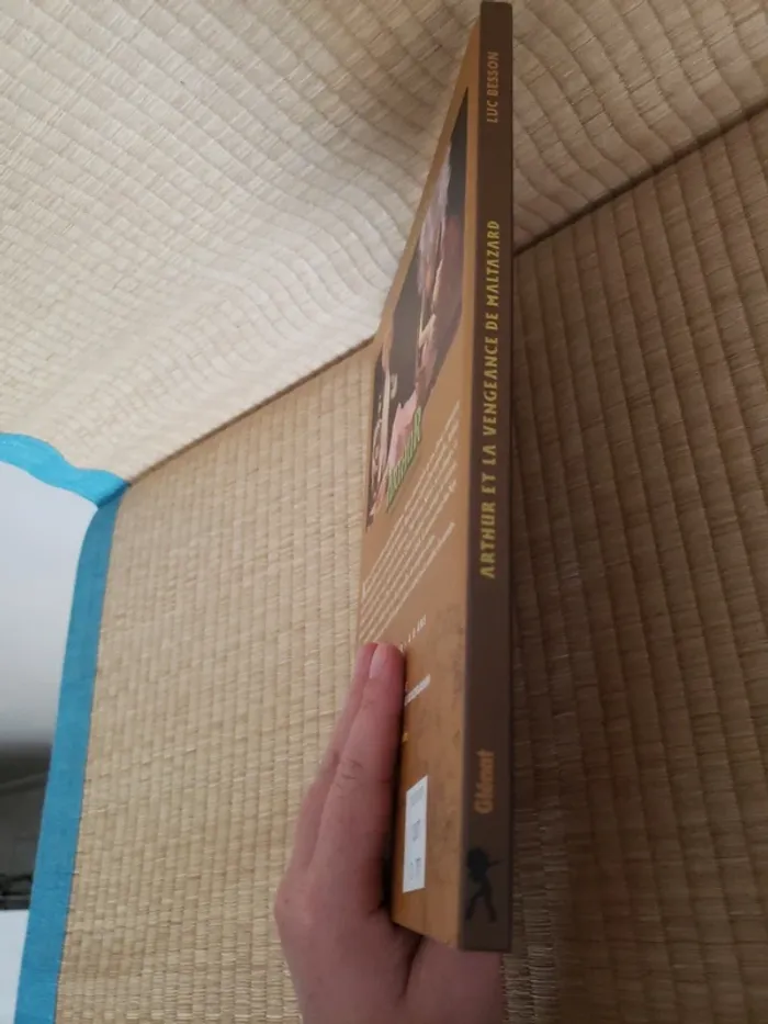 Livre Arthur et la vengeance de Maltazard - photo numéro 3