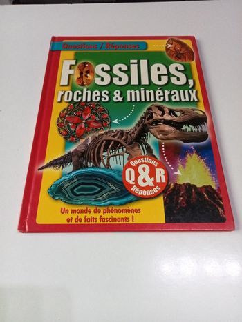 Fossiles, roches et minéraux