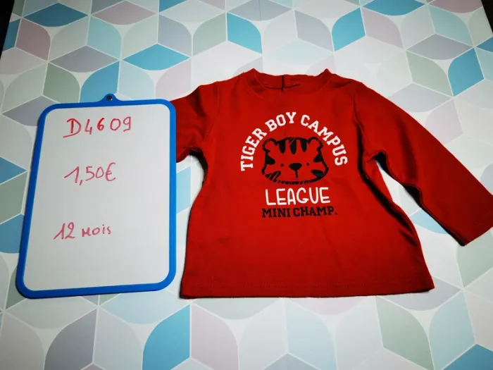 D4609 - tee-shirt garçon 12 mois