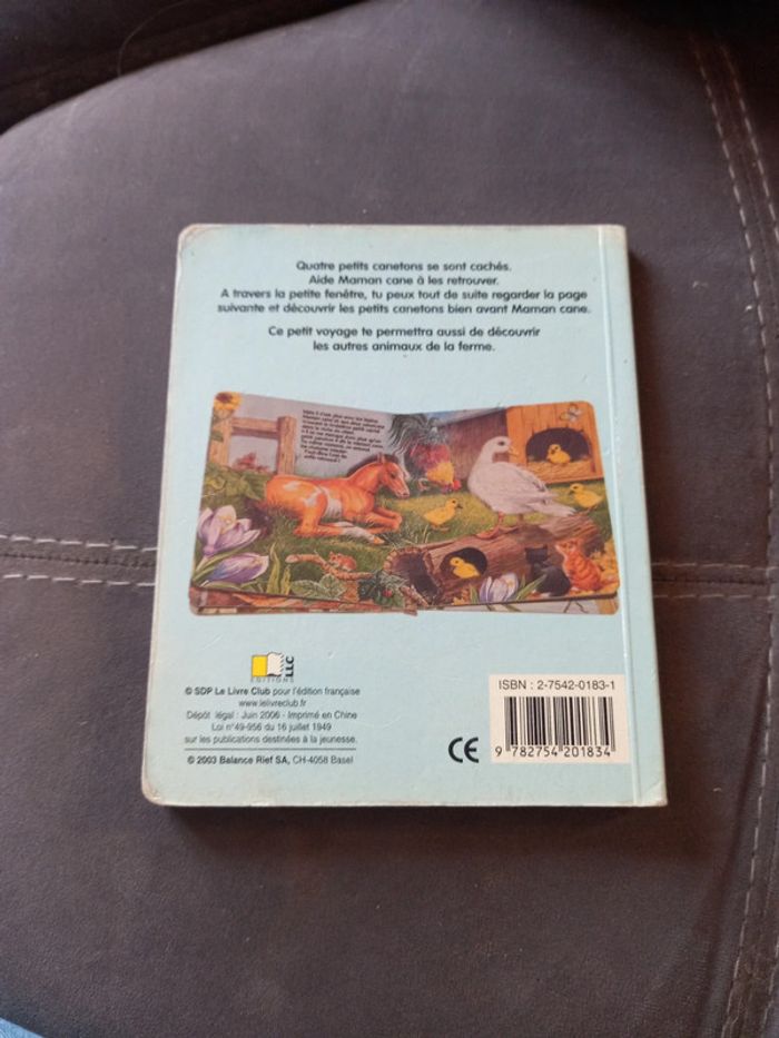 Cherche-moi où se cache les canetons - photo numéro 2