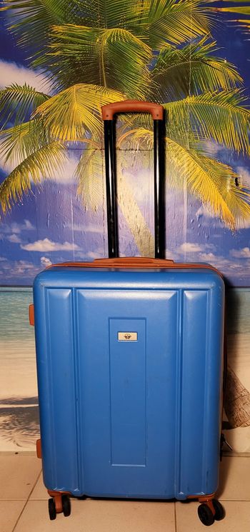 Valise