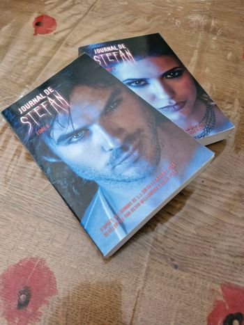 Saga Vampire Diaries 2 derniers tomes