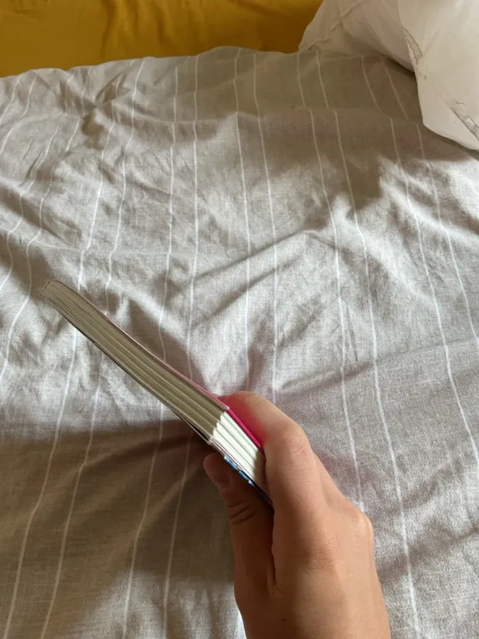 livre Téa Stilton - photo numéro 4