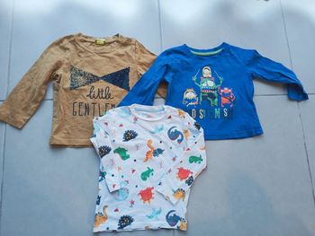 Lot 3 tee shirt manches longues taille 24mois