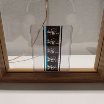 Pellicule démon slayer daki