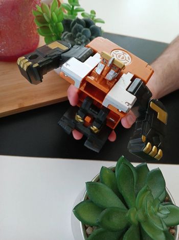 Robot Transformers 🌿🎁