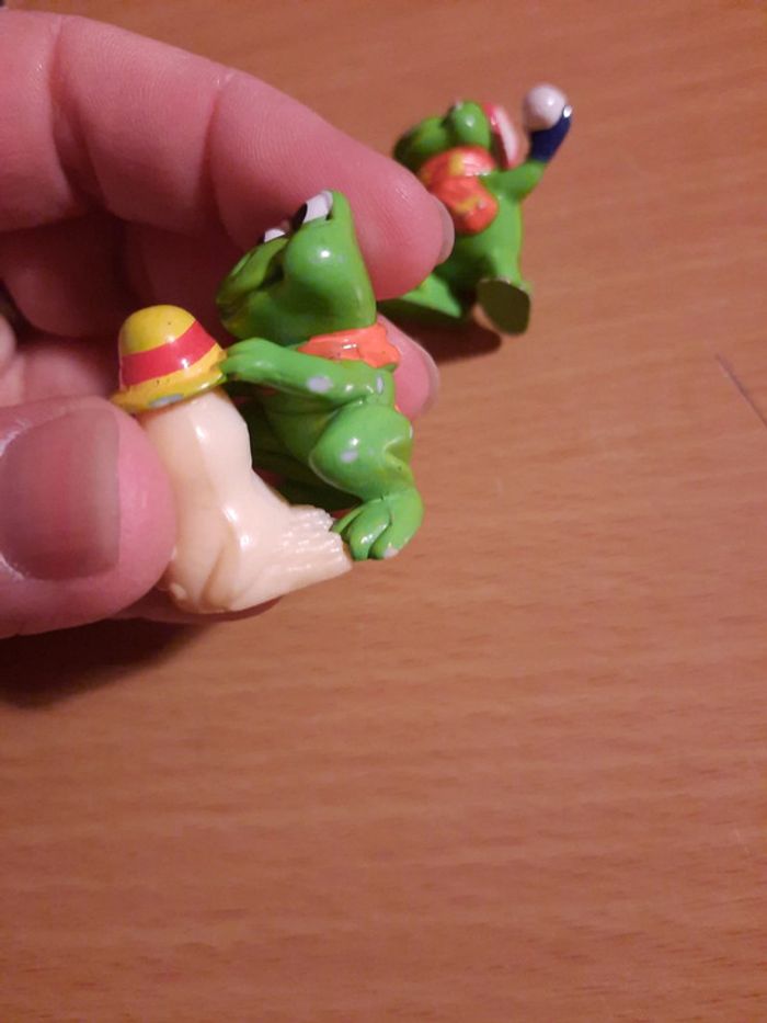 Grenouille - photo numéro 5