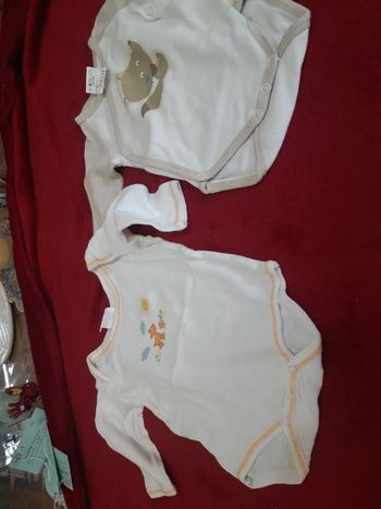 Lot 2 bodies mixte 3 mois