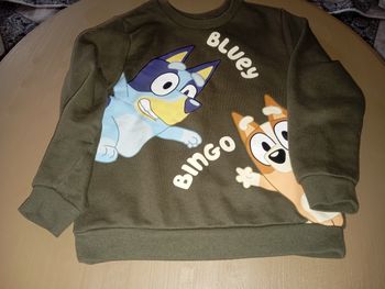 Vend deux pull bluey
