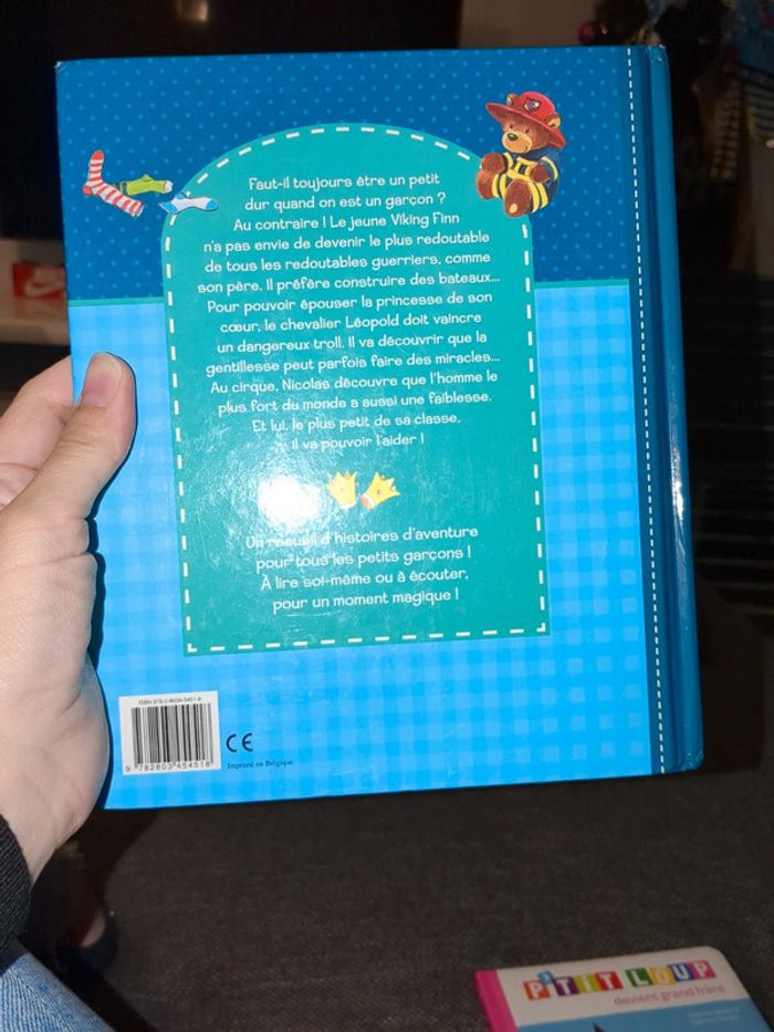 Livre d'histoires pour les garçons - photo numéro 2