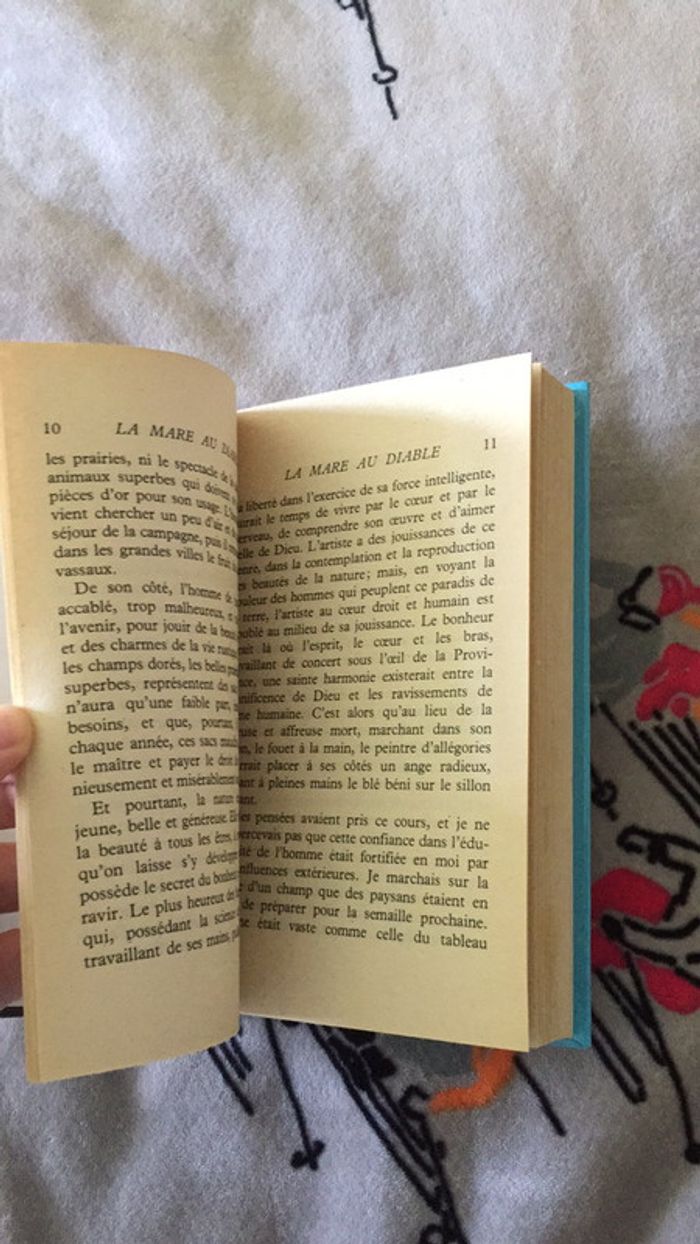La mare au diable Georges Sand Dargaud Jeunesse - photo numéro 13
