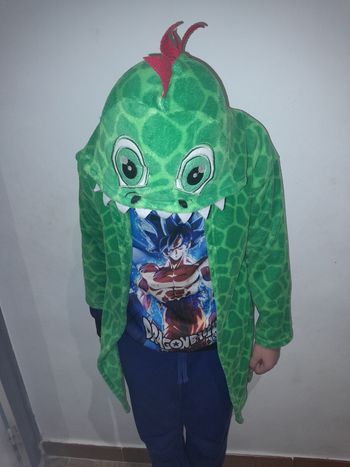 Peignoir dinosaure