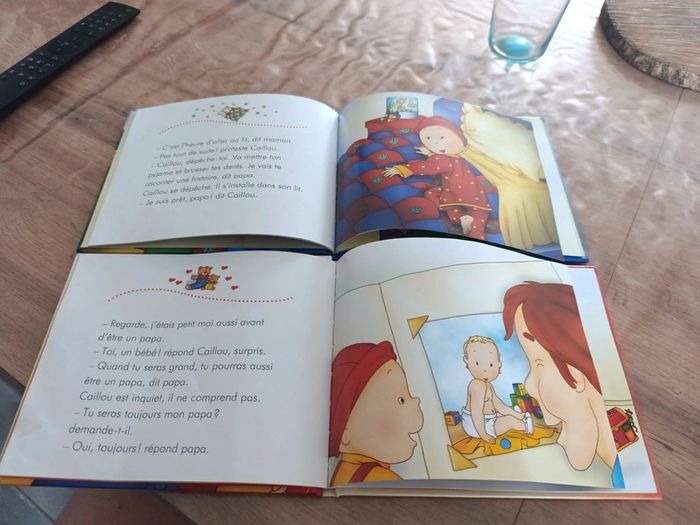 Lot de livres cailloux - photo numéro 4