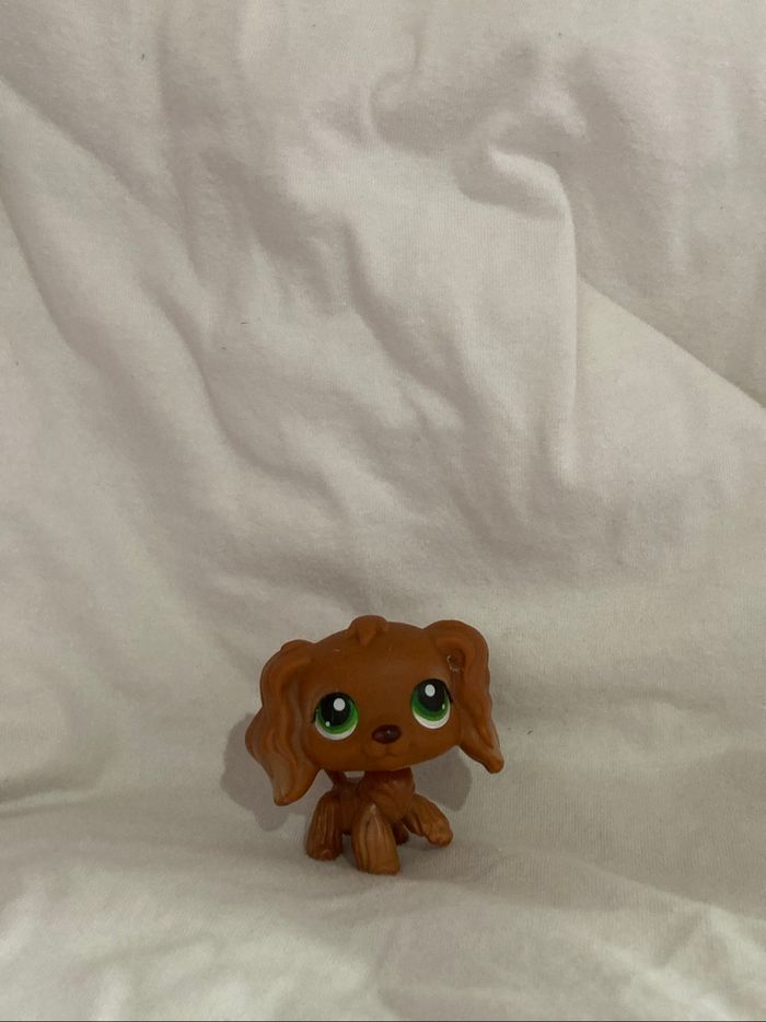 lps cocker
