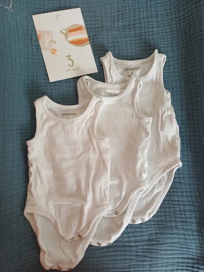 Lot 3 bodies