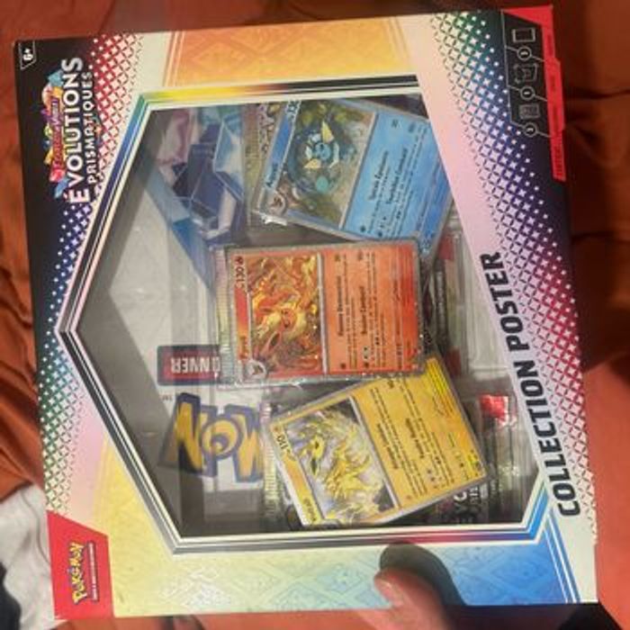 Coffret poster ev8.5