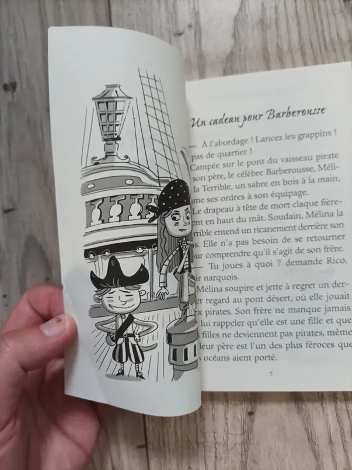 Livre pour enfants : " les terribles aventures de Mélina et Rico" - photo numéro 6
