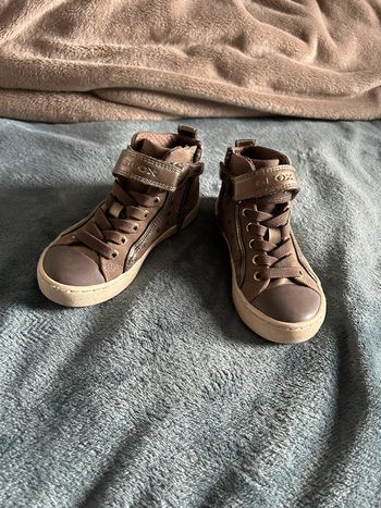 Chaussures geox