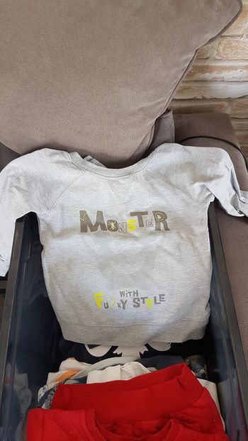 Pull monster 4 ans