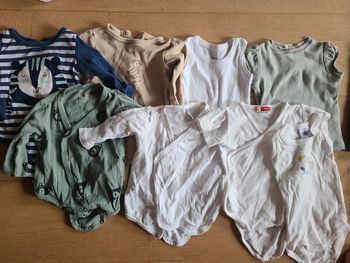 Lot  6 bodies et 1 t-shirt 3 mois