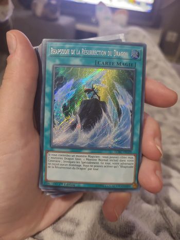 rhapsodie de la résurrection du dragon