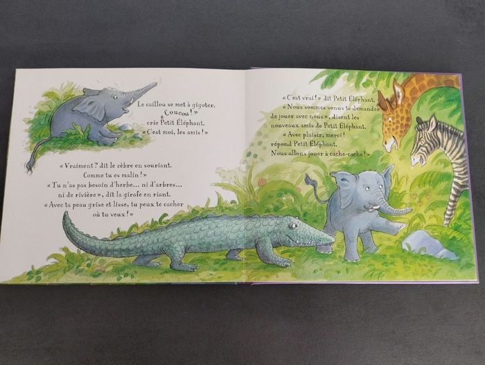 Livre - photo numéro 4