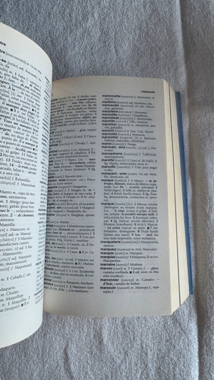 Dictionnaire espagnol français - photo numéro 5